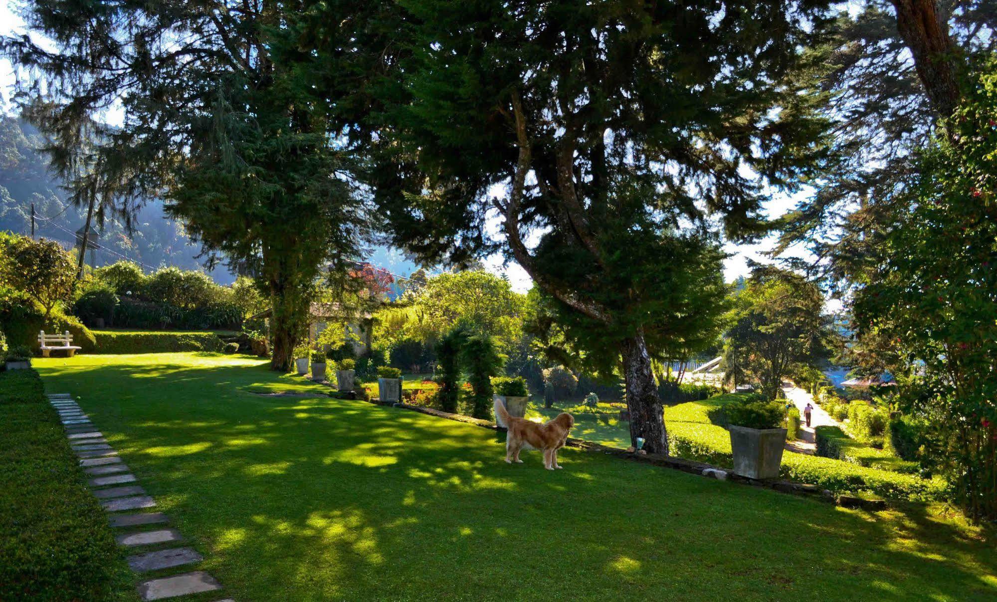 Brockenhurst Bungalow Nuwara Eliya Esterno foto